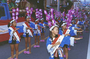 Chichibu Ondo Festival