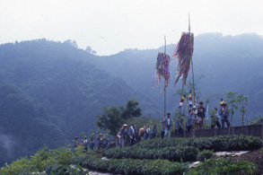 Tatsuzawa Torch Procession/Kadodaira Torch Procession