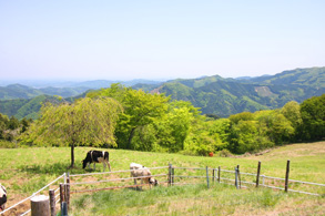 Sainokuni Fureai Farm