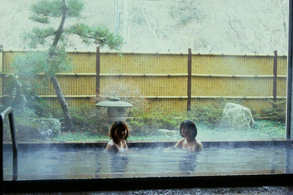 Water and Greenery Fureai  Hall