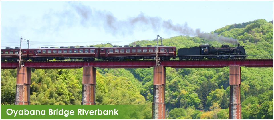 Oyabana Bridge Riverbank