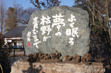 よく眠る夢の枯野が青むまで