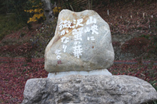 山峡に沢蟹の華微かなり