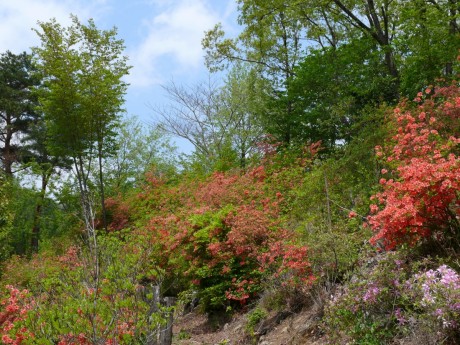 花と香りの森