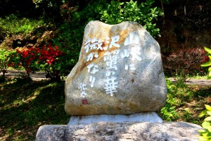 山峡に沢蟹の華微かなり