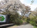 美の山公園