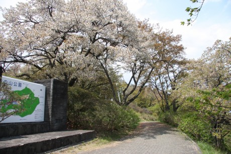 美の山公園