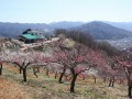 宝登山