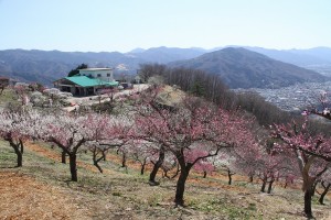 宝登山