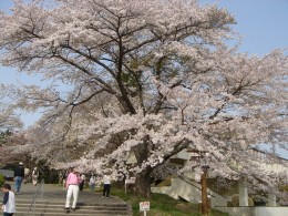 美の山公園入口