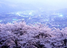 夜景と桜