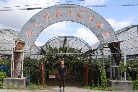 秩父観光ぶどう農園