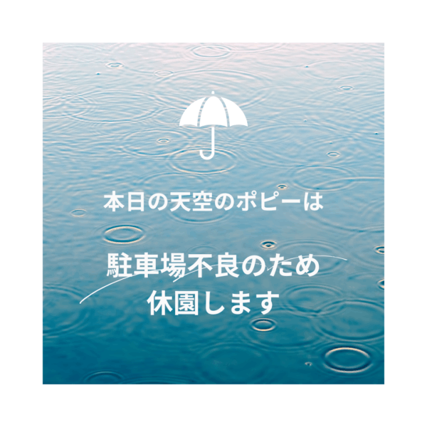 天空のポピー休園