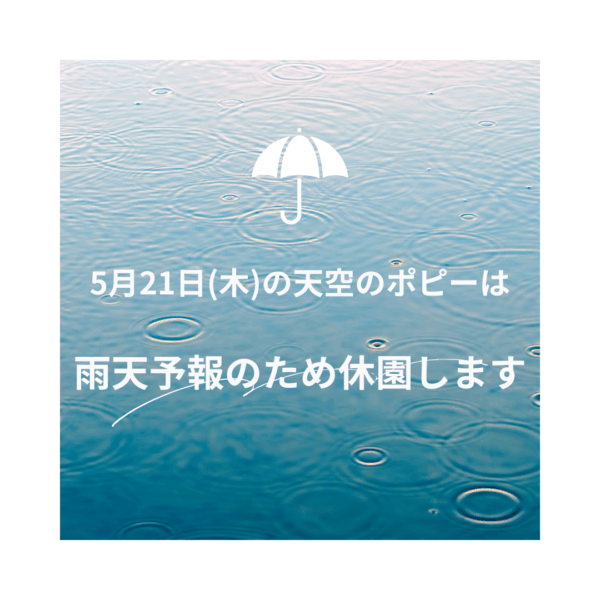 本日の天空のポピー休園